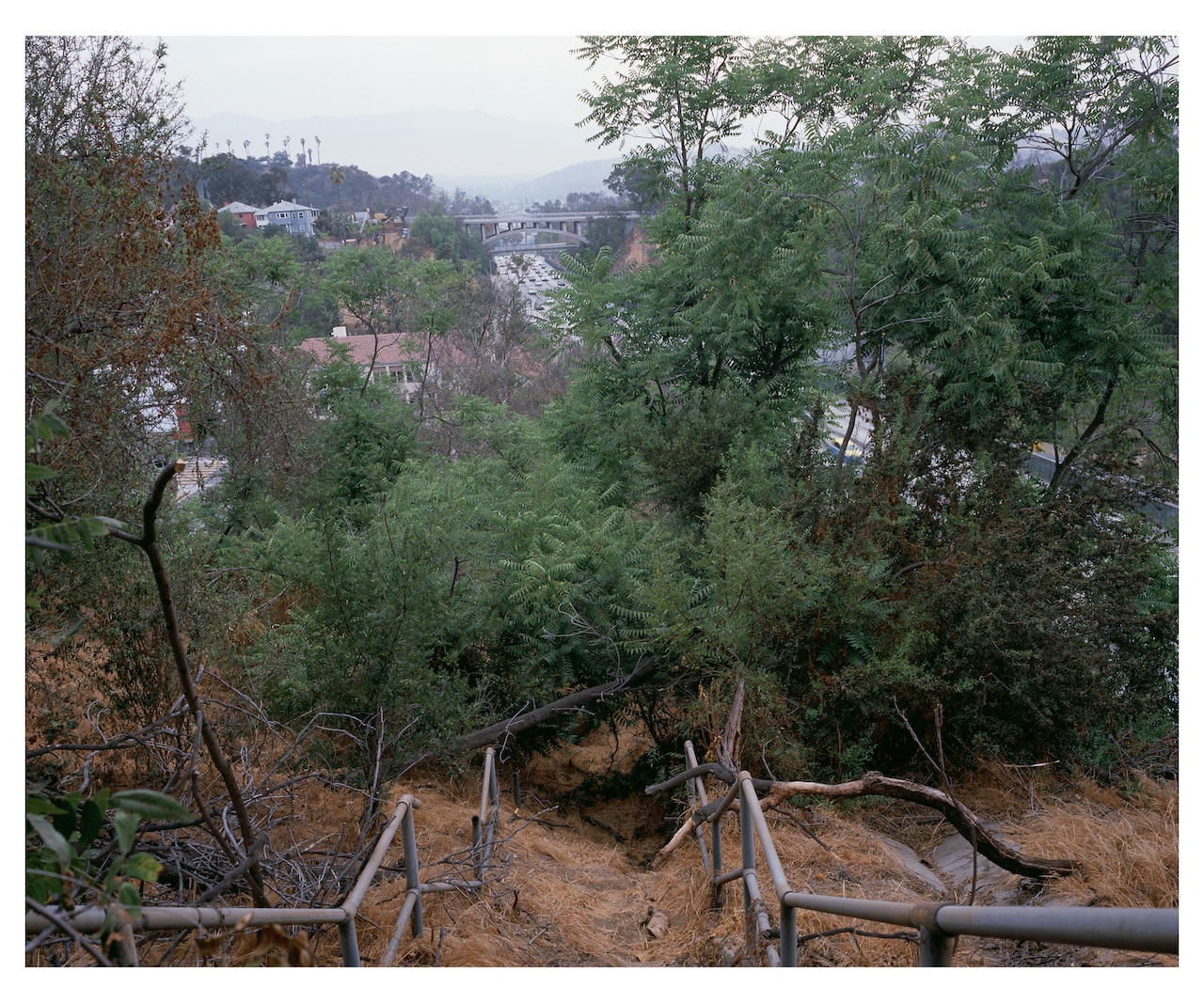 Ruins, Near Chavez Ravine