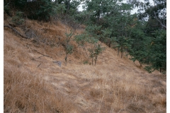 Ruins, near Chavez Ravine, C-Print, 2018