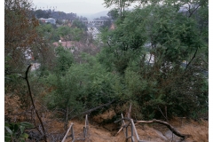 Ruins, near Chavez Ravine, C-Print, 2018